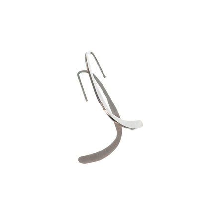 Earrings Curvi
