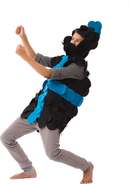 Costume Puzzle - Sir William the Brave Knight