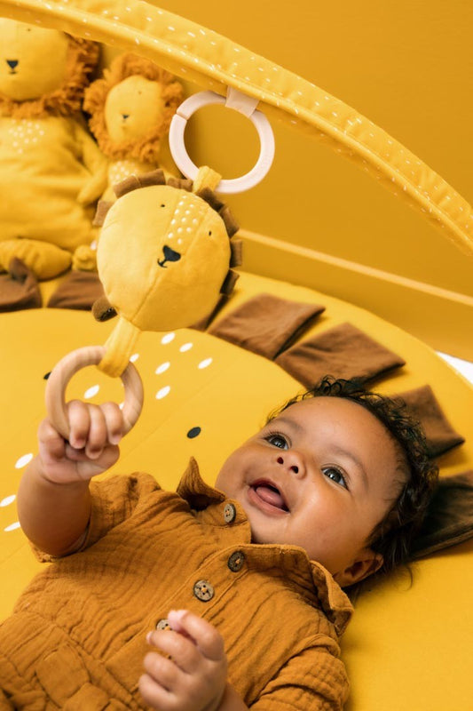 Activity Play Mat with Arches - Mr. Lion