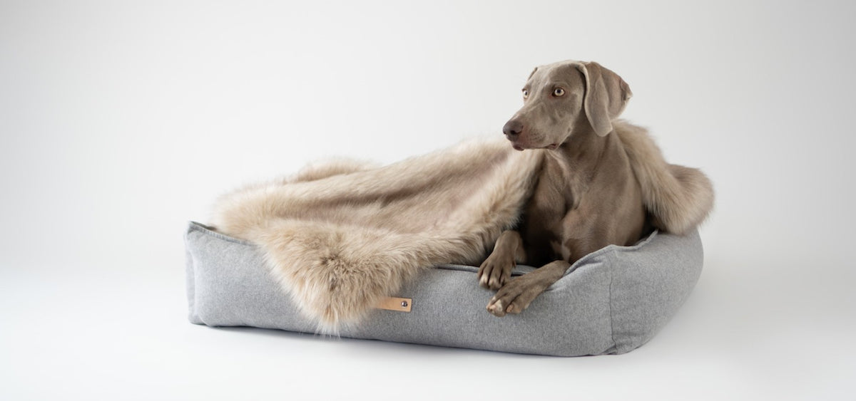 Møvik Dog Bed - Grey 